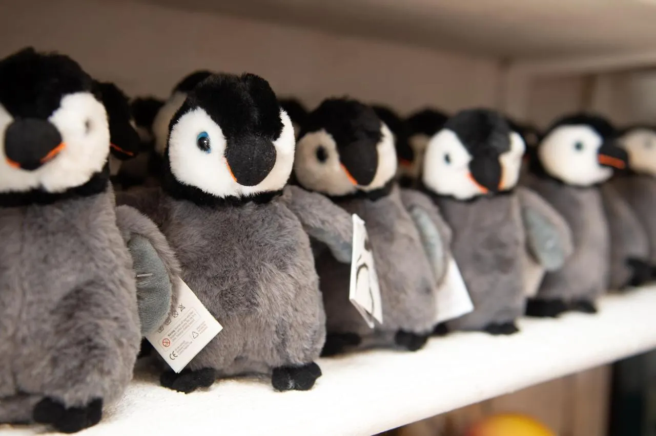 Bed & Breakfast Boulders Beach Hotel, Cafe And Curio Shop Simon's Town